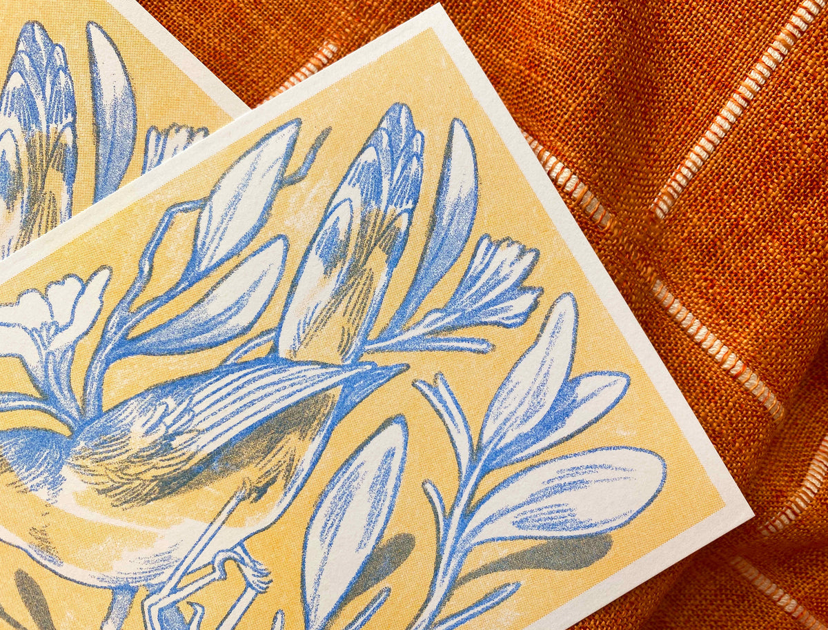 Cornflower Bird Print | ALTARGOKART