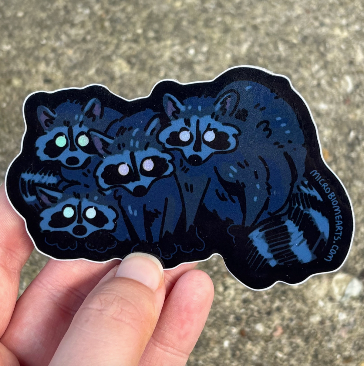 Glowing Eye Raccoons Holo Sticker | Microbiome Arts