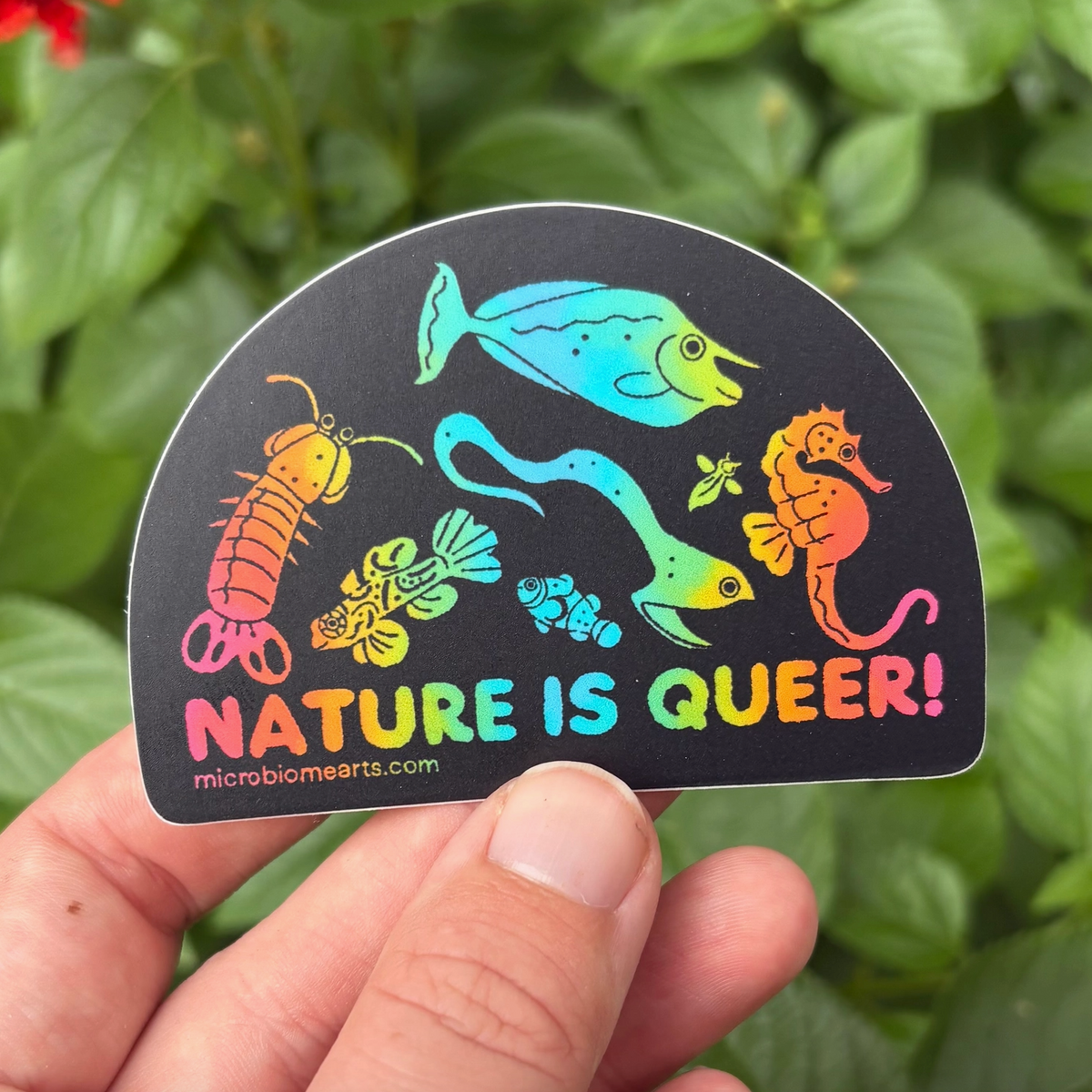 Nature Is Queer 3” Vinyl Sticker | Microbiome Arts