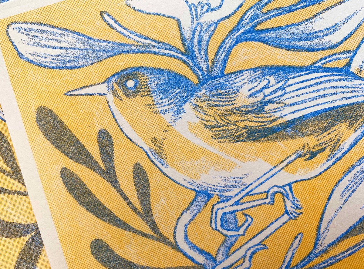 Cornflower Bird Print | ALTARGOKART