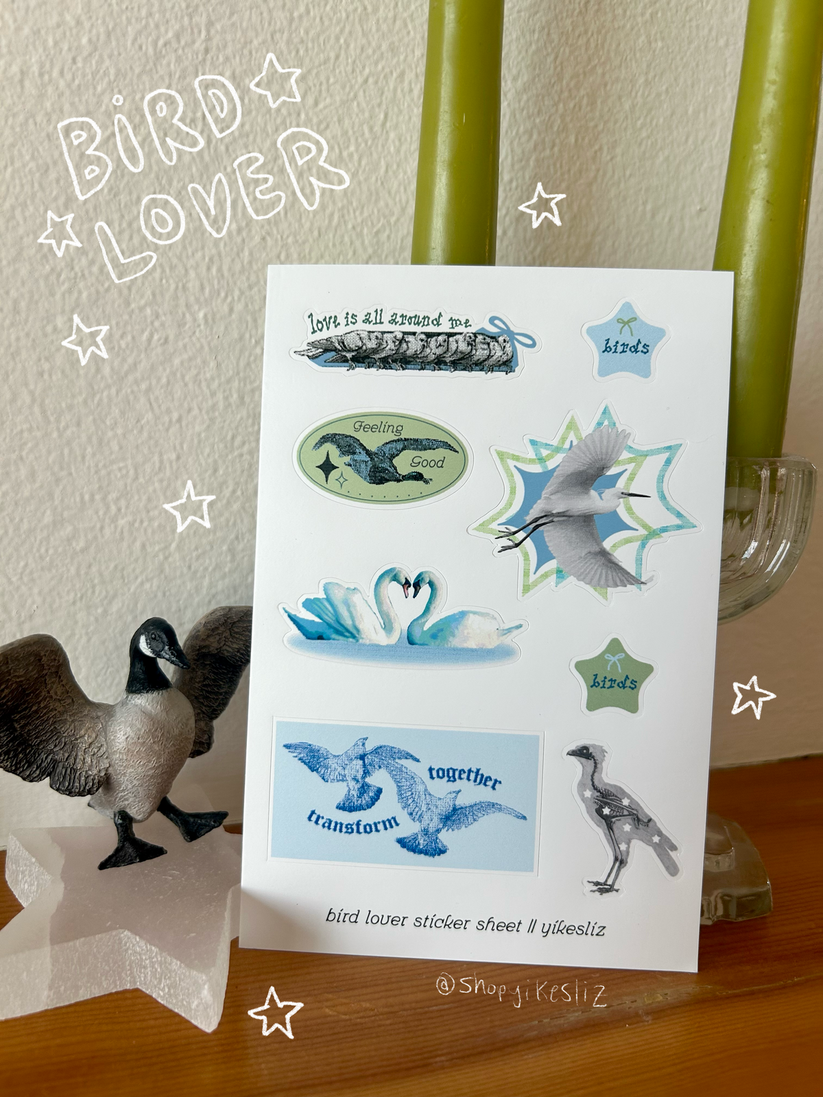 Bird Lover Vinyl Sticker Sheet | Yikesliz